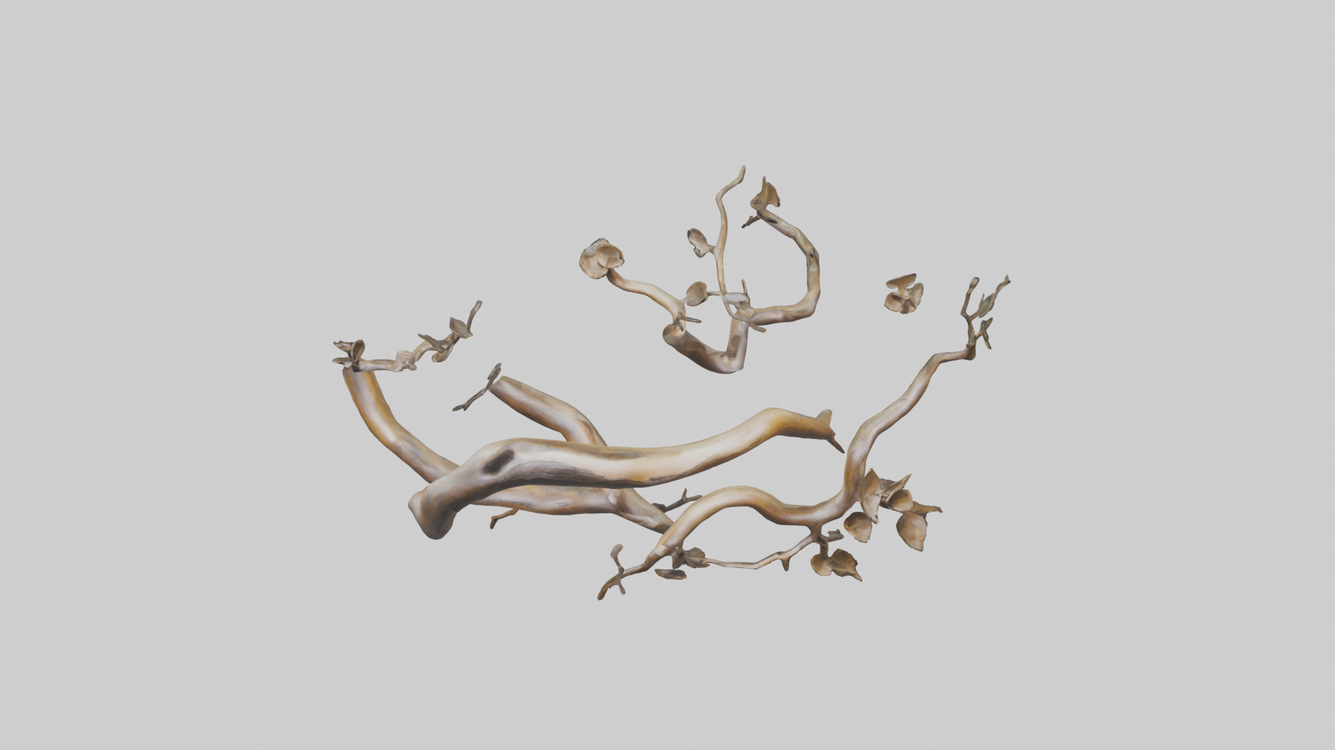 Organic Flow Branch Sculpture model 3D model_16