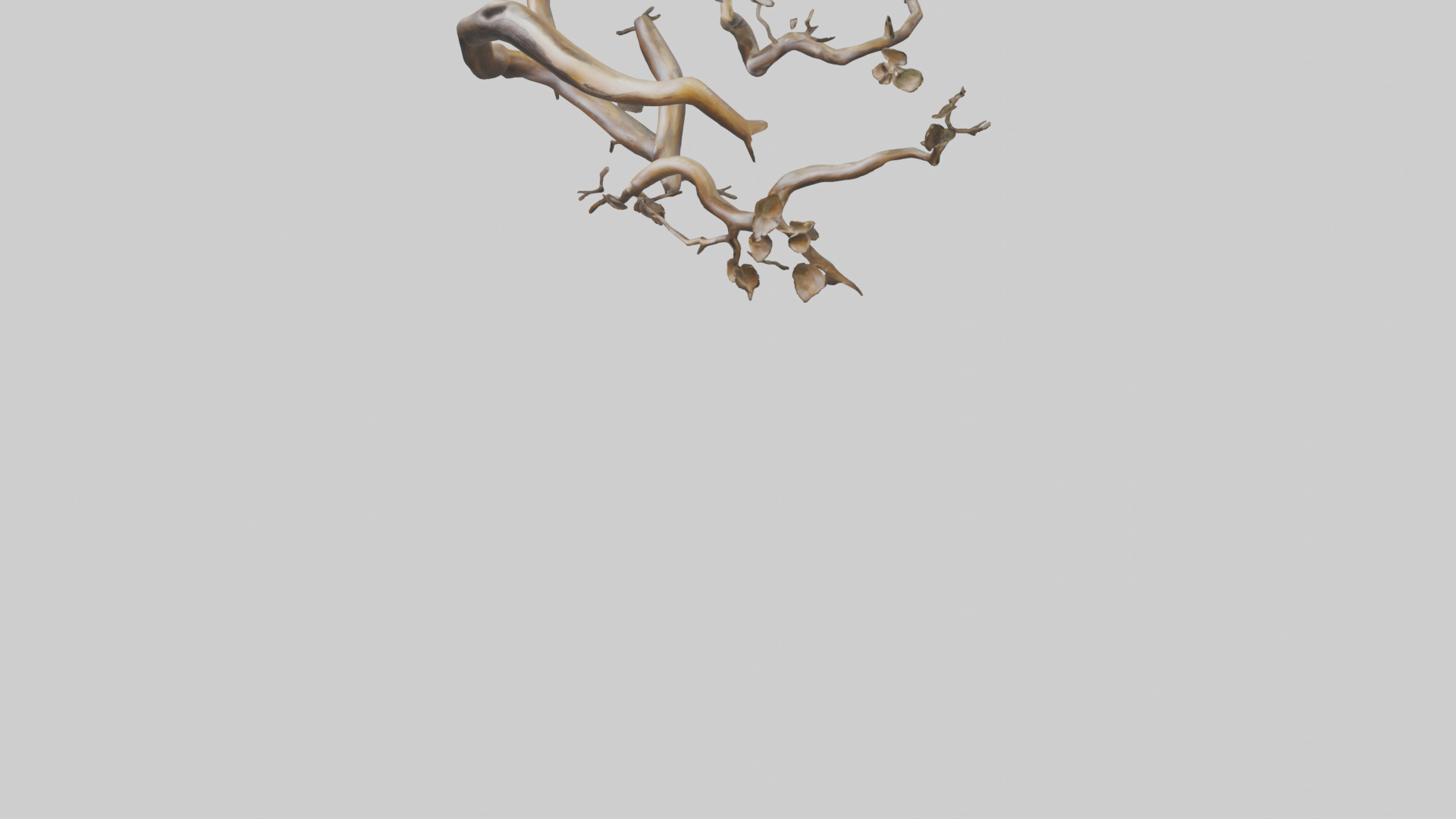 Organic Flow Branch Sculpture model 3D model_5