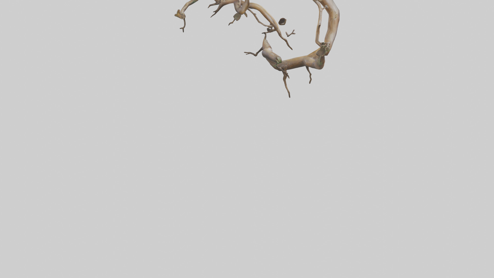 Organic Flow Branch Sculpture model 3D model_4