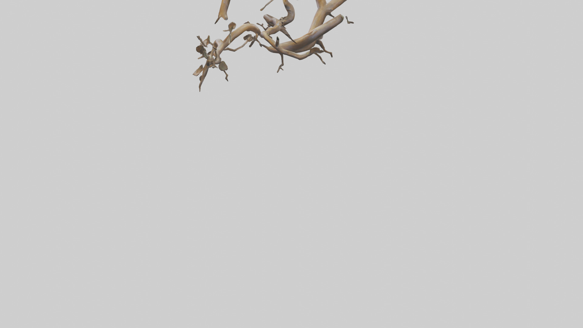 Organic Flow Branch Sculpture model 3D model_3