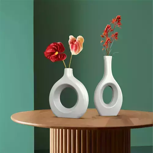 Circular Hollow Vase Set - 2 pcs - Vases Bundle