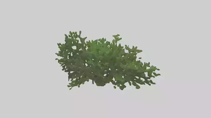 Organic Forest Canopy Sculpture model