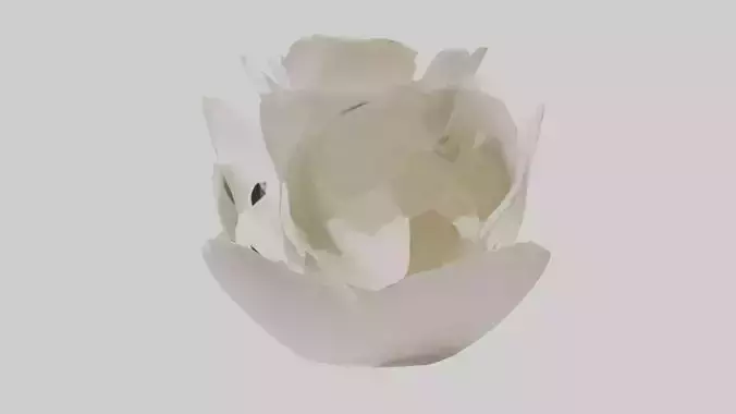 Organic Petal Spiral sculpture model 3D model