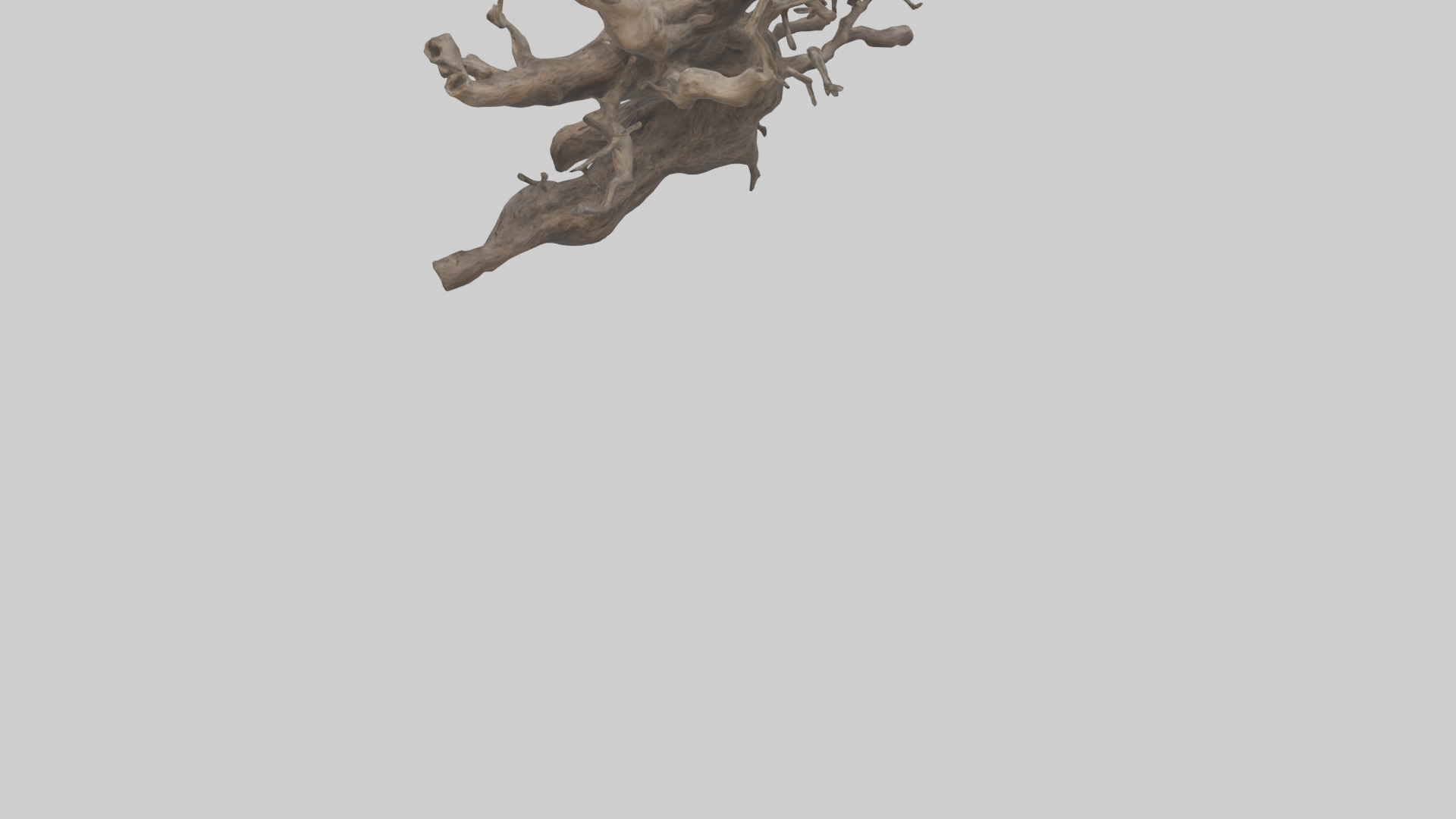 Organic Roots Sculpture statue model 3D model_3