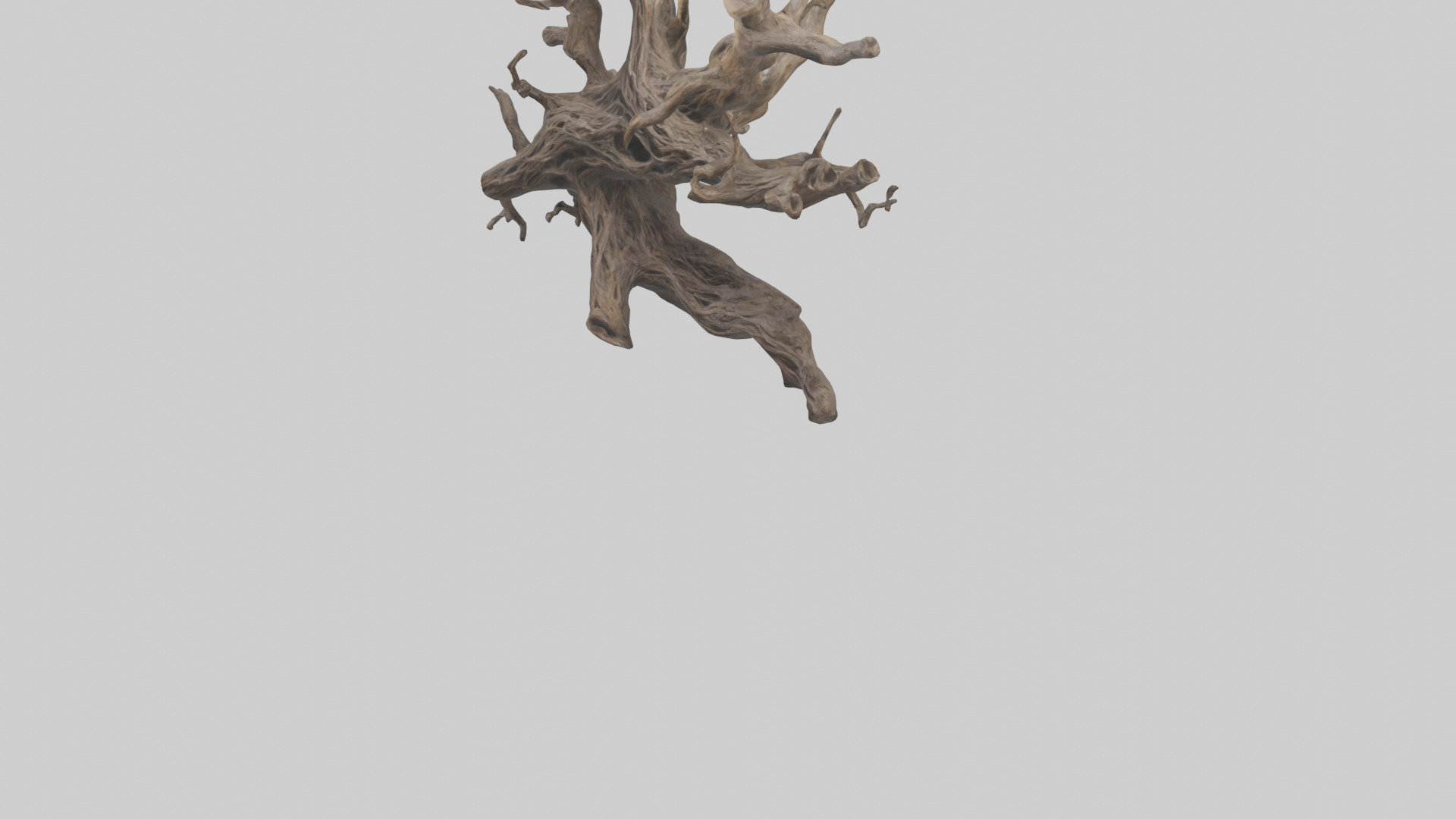 Organic Roots Sculpture statue model 3D model_5