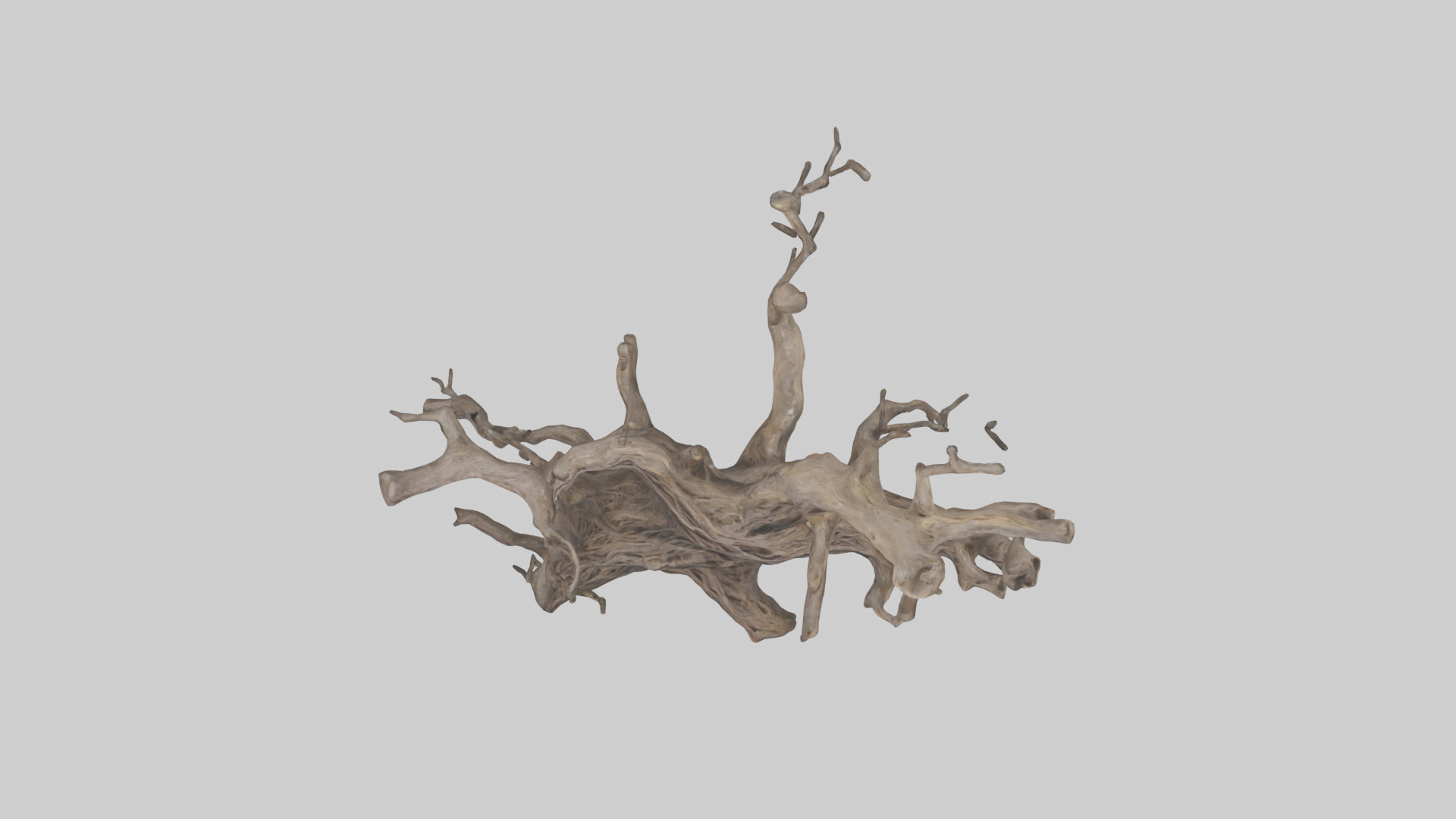 Organic Roots Sculpture statue model 3D model_14