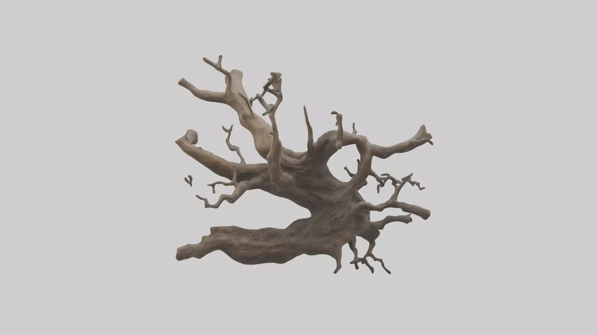 Organic Roots Sculpture statue model 3D model_0