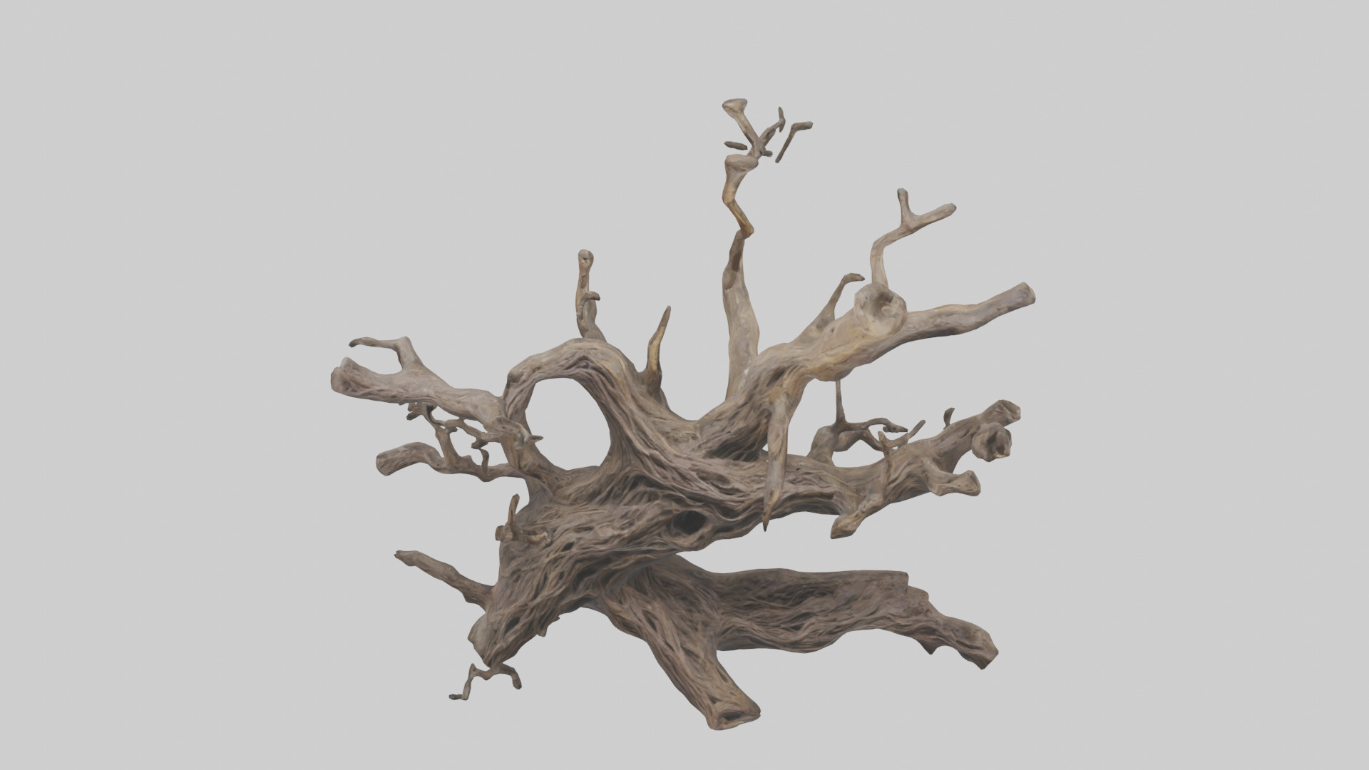 Organic Roots Sculpture statue model 3D model_16