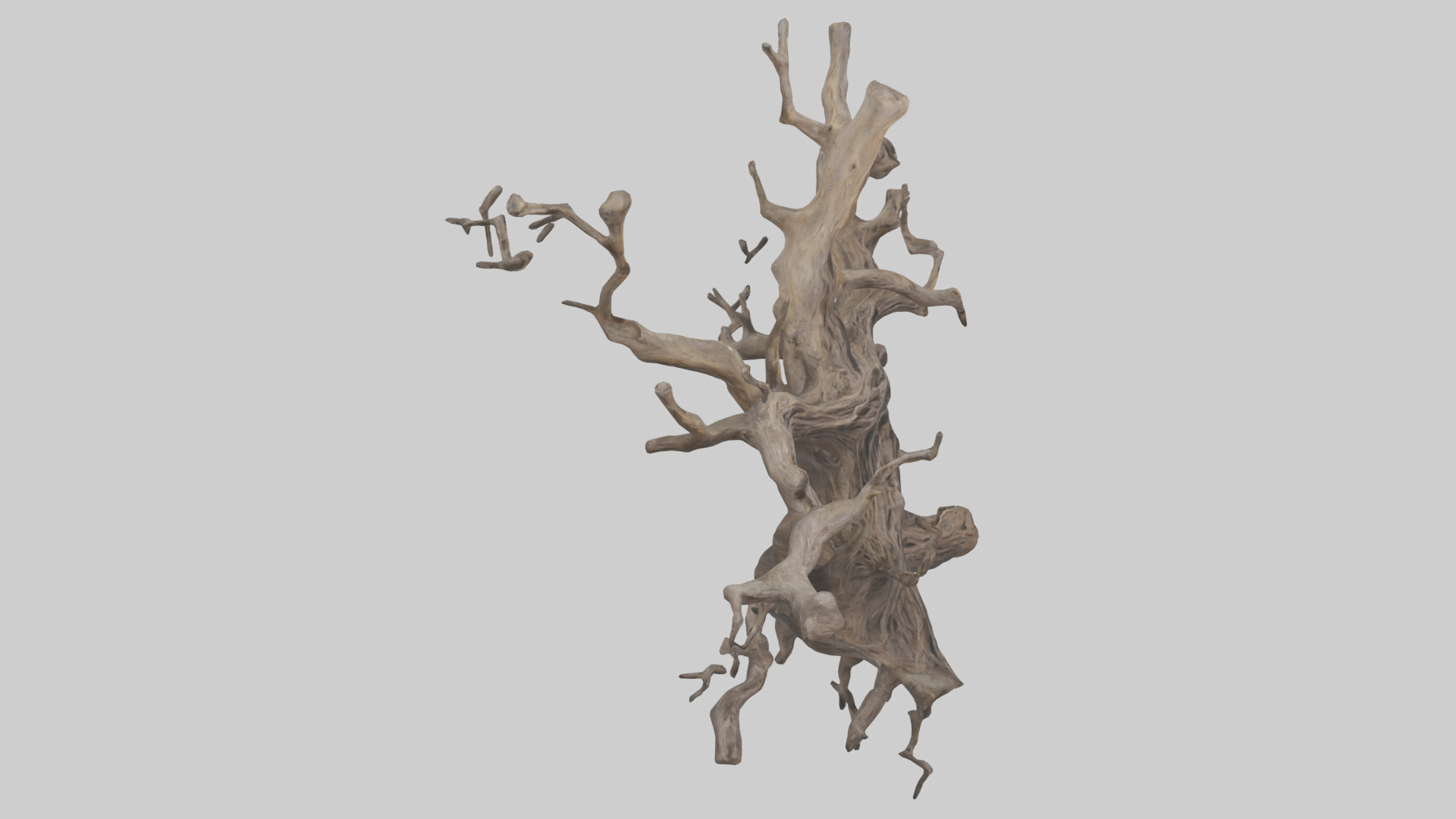 Organic Roots Sculpture statue model 3D model_18
