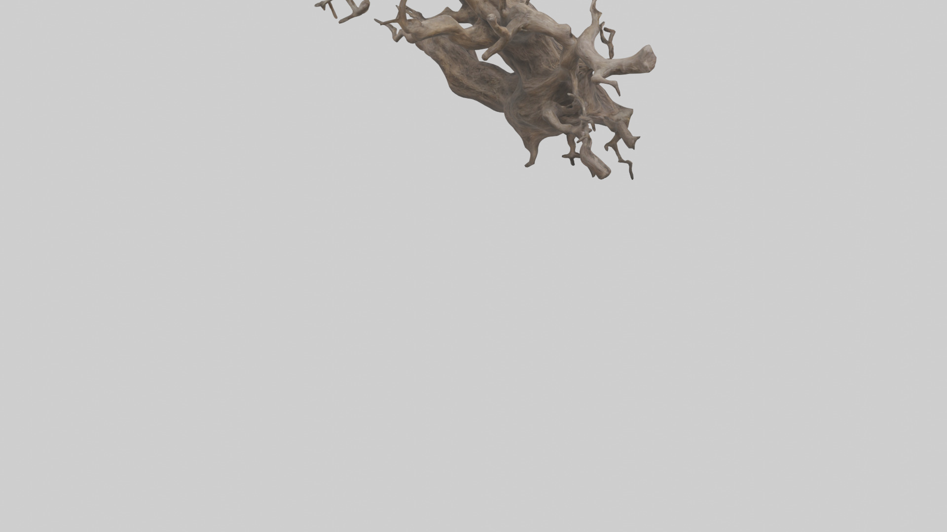 Organic Roots Sculpture statue model 3D model_4
