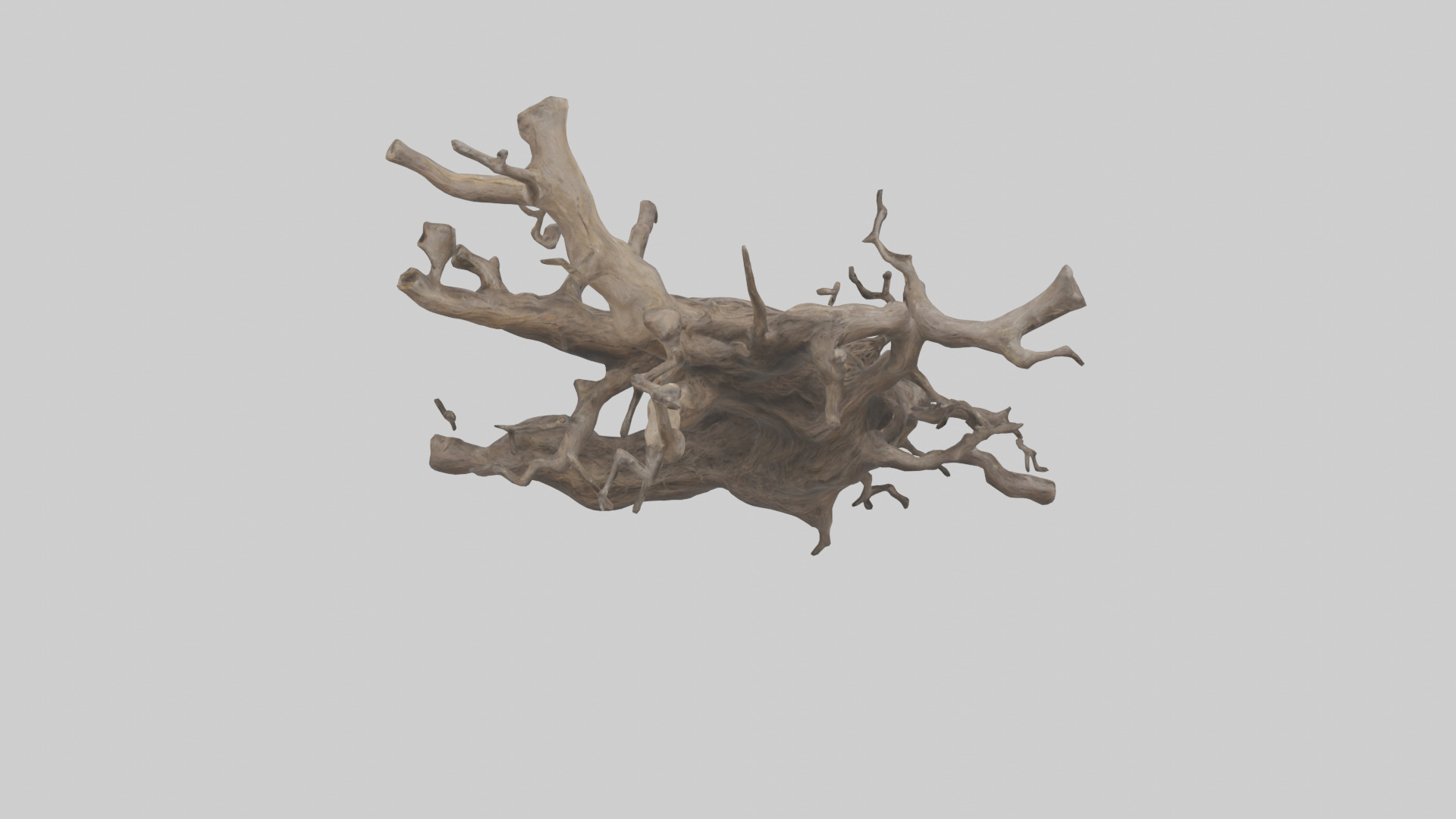 Organic Roots Sculpture statue model 3D model_15