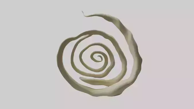 Organic Spiral Growth Sculpture model