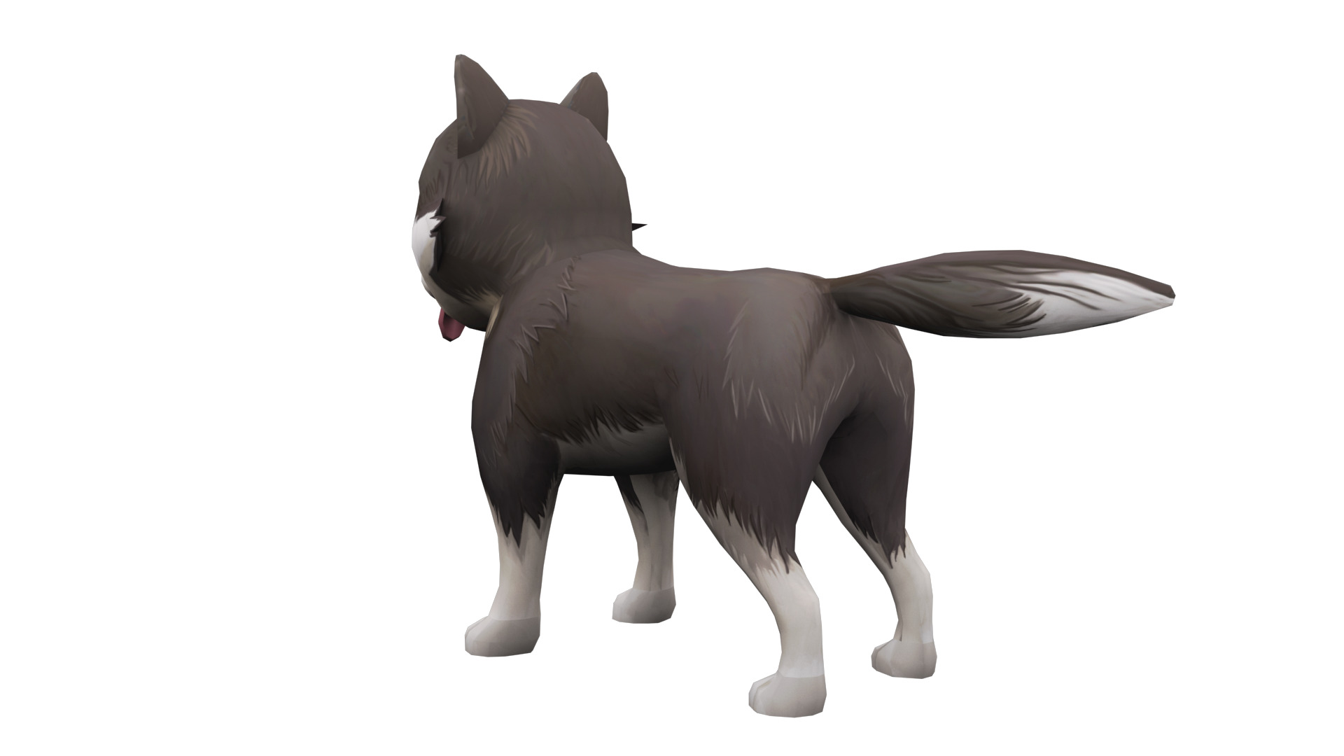 Cute Low Poly Husky Pup Game-Ready 3D Model Low-poly 3D model_12