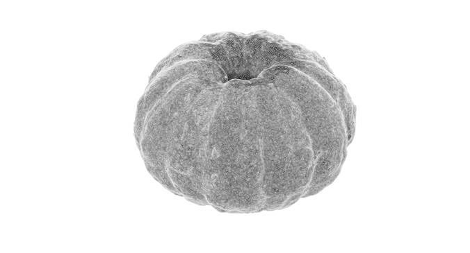 Mandarine 3D Model Pack 6