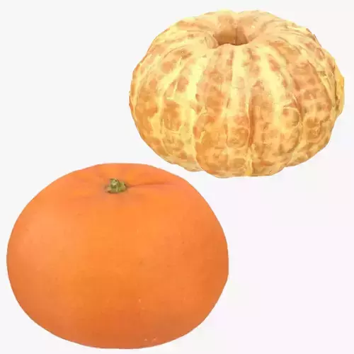 Mandarine 3D Model Collection