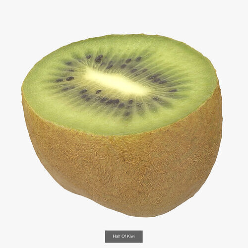 Kiwi Collection 3D Model Pack 2