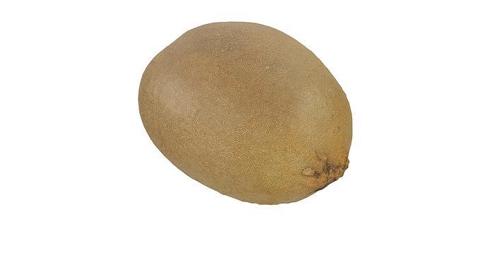 Kiwi Collection 3D Model Pack 7
