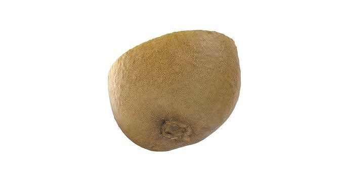 Kiwi Collection 3D Model Pack 4