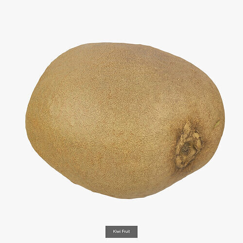 Kiwi Collection 3D Model Pack 6