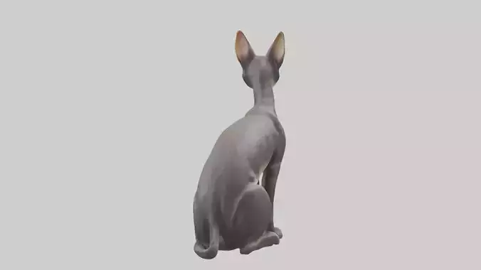 Oriental Shorthair statue model