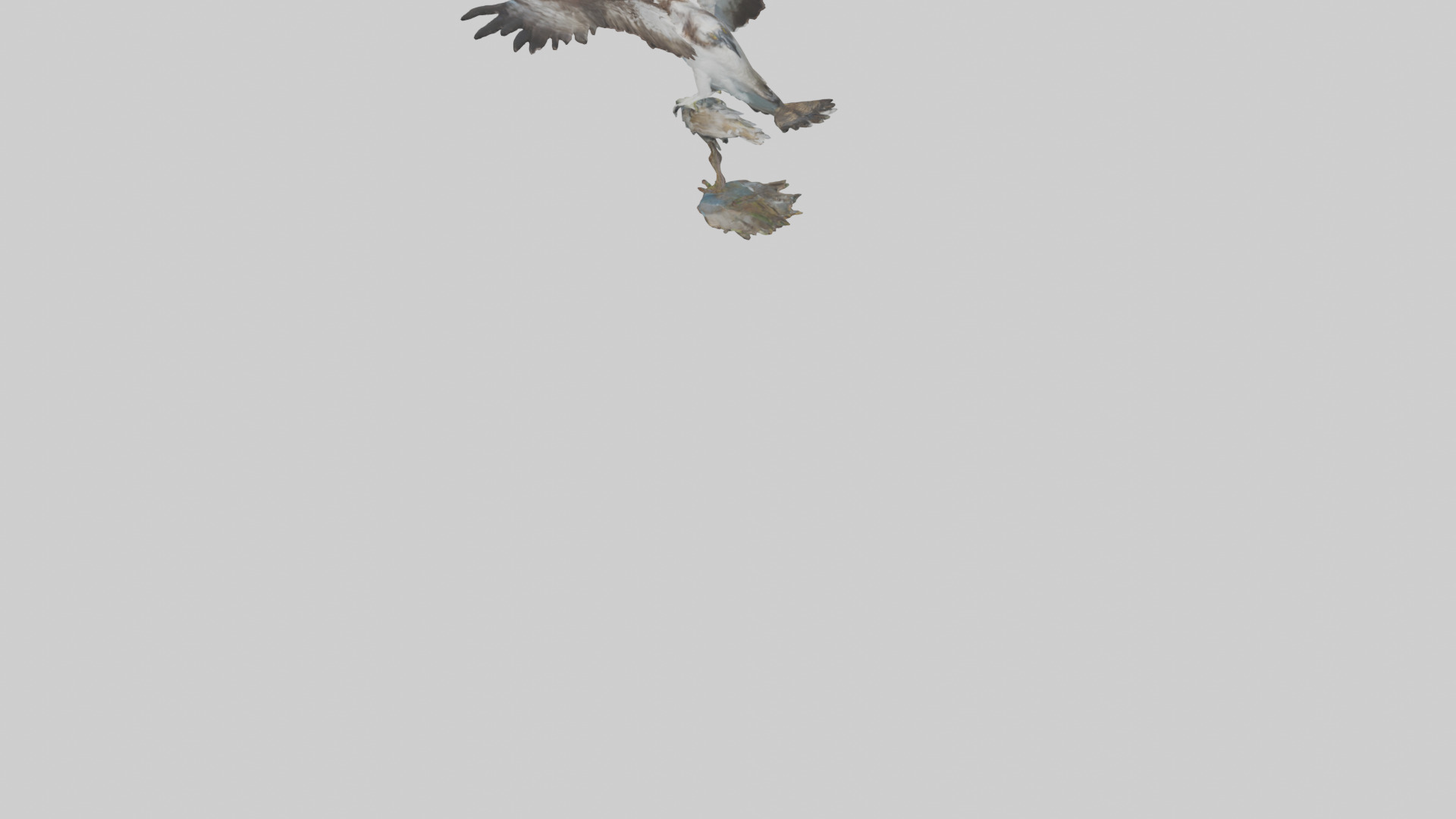 Osprey catching fish model 3D model_6