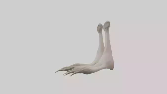 Ostrich Feet Model