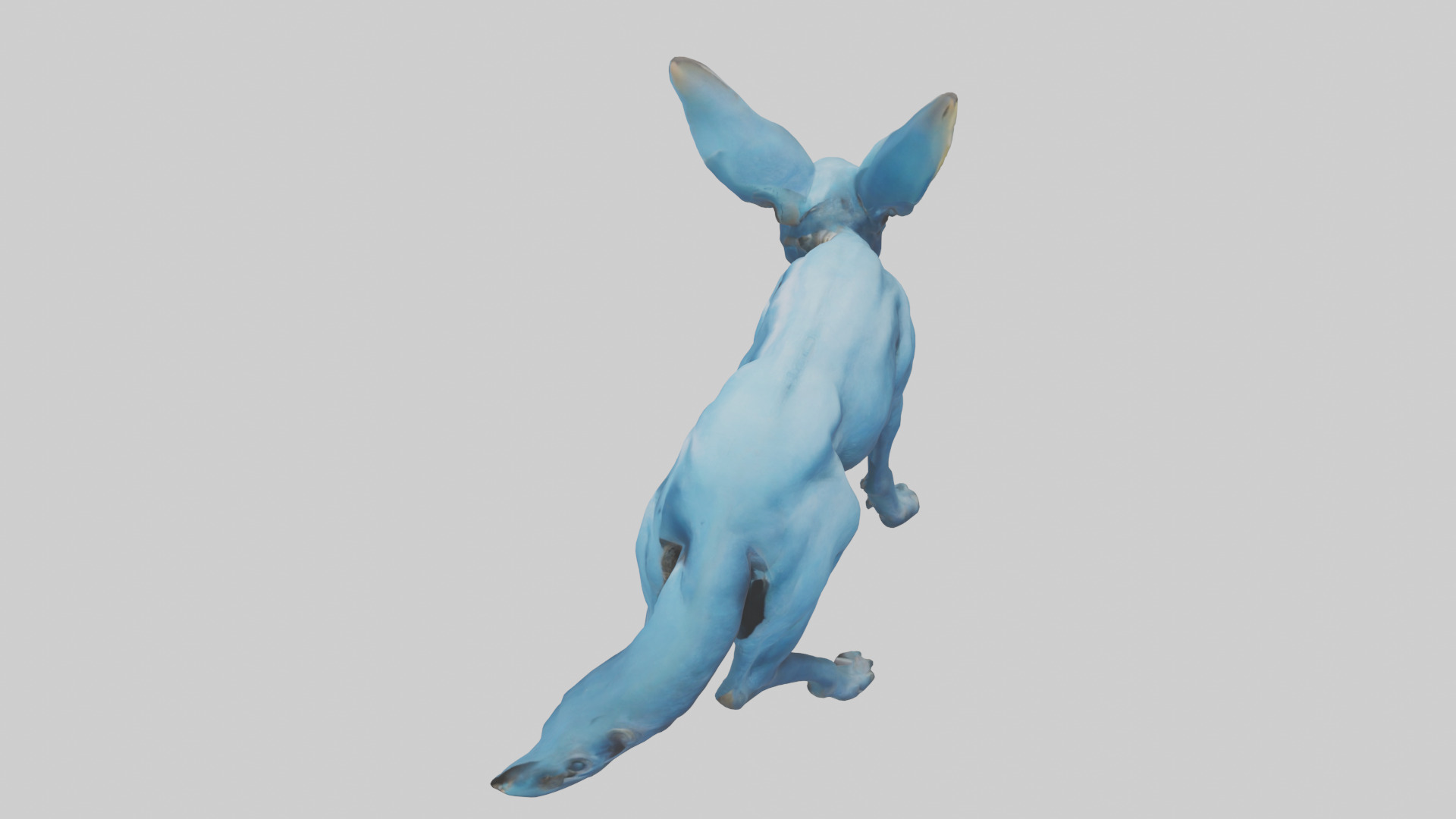 Otocyon Prowling model 3D model_17