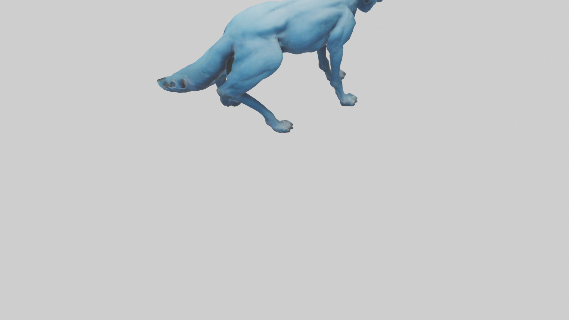 Otocyon Prowling model 3D model_3