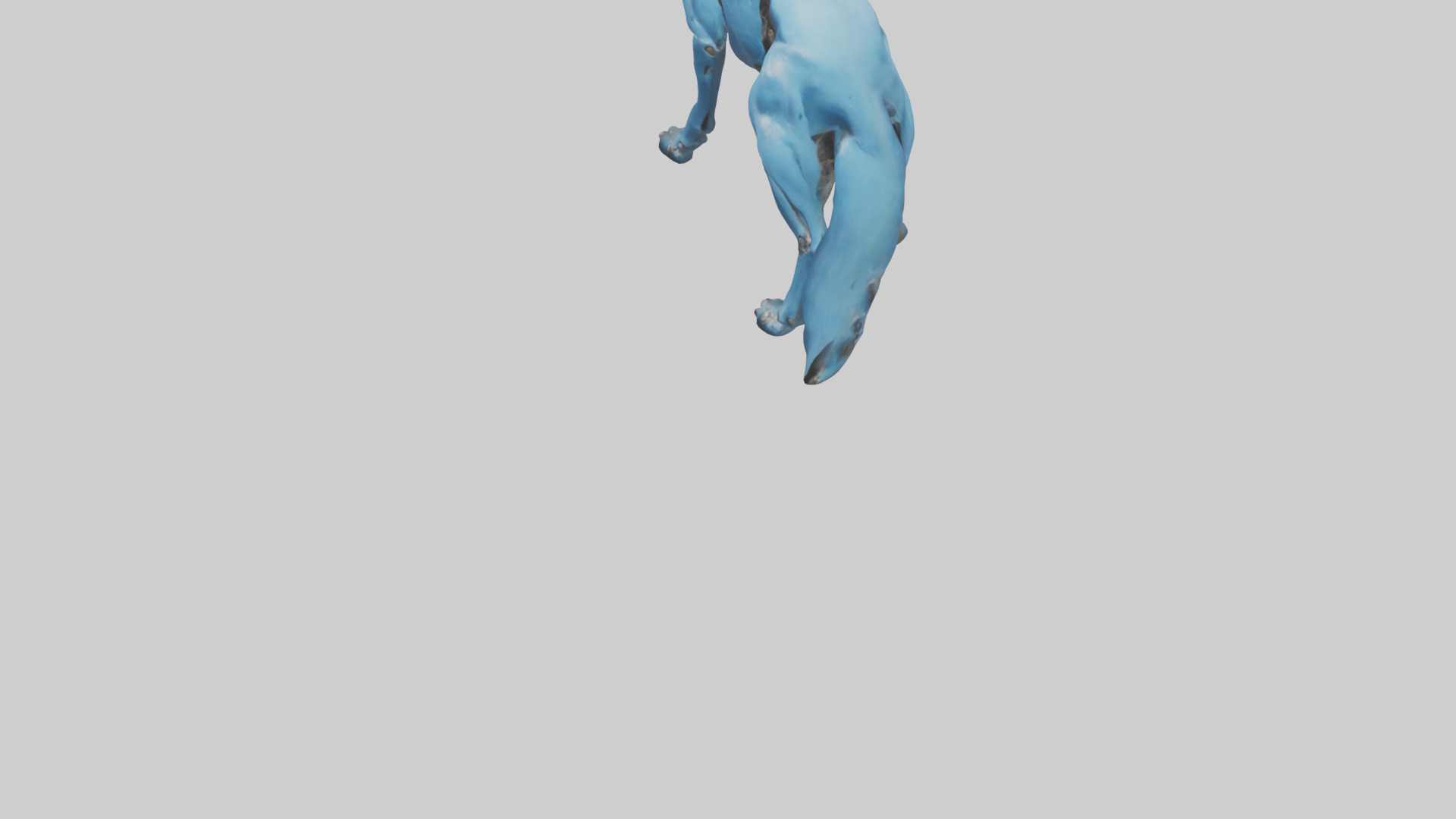 Otocyon Prowling model 3D model_5