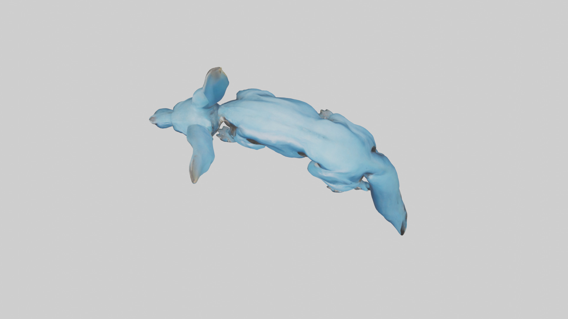 Otocyon Prowling model 3D model_14