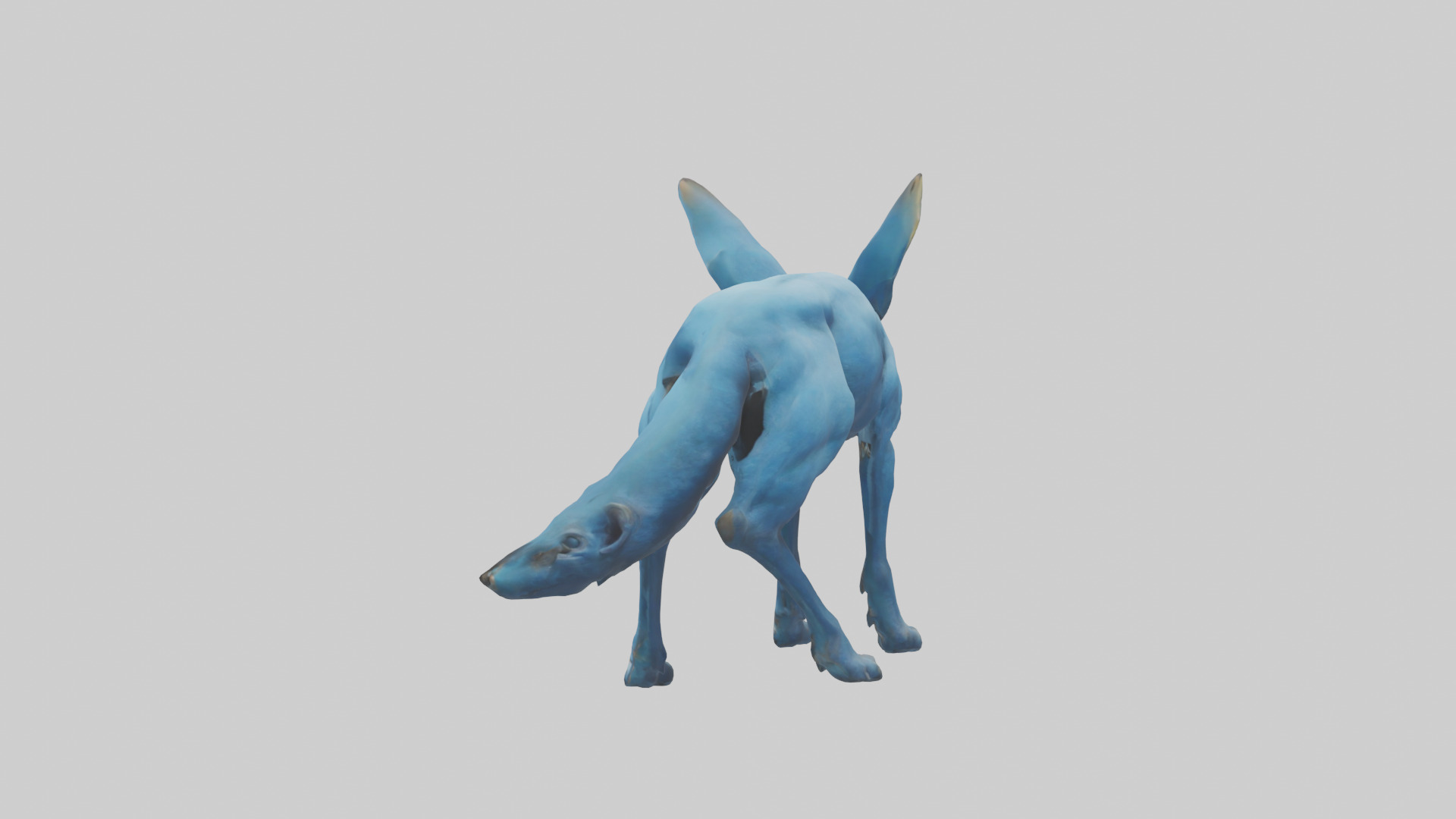 Otocyon Prowling model 3D model_12
