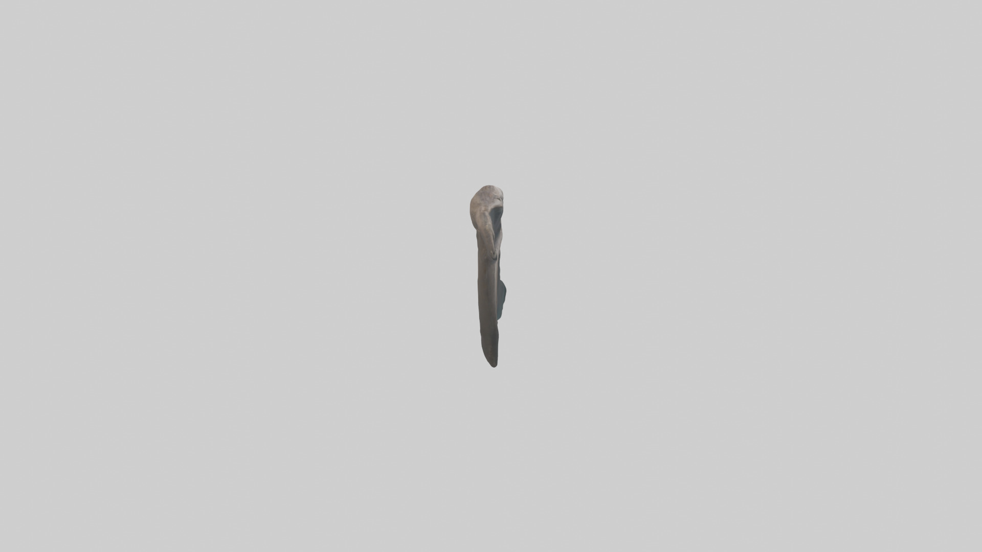 Otter Rib 3D model_13