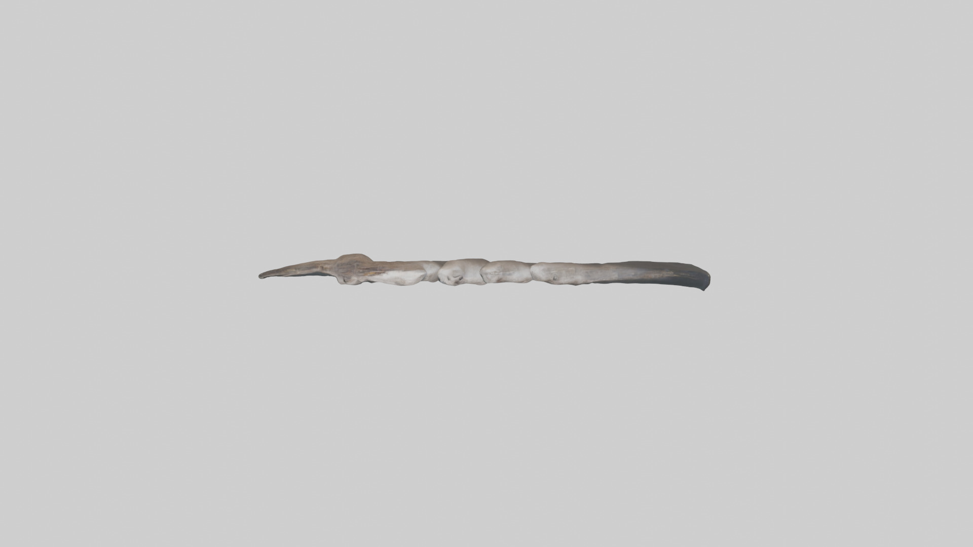 Otter Rib 3D model_14
