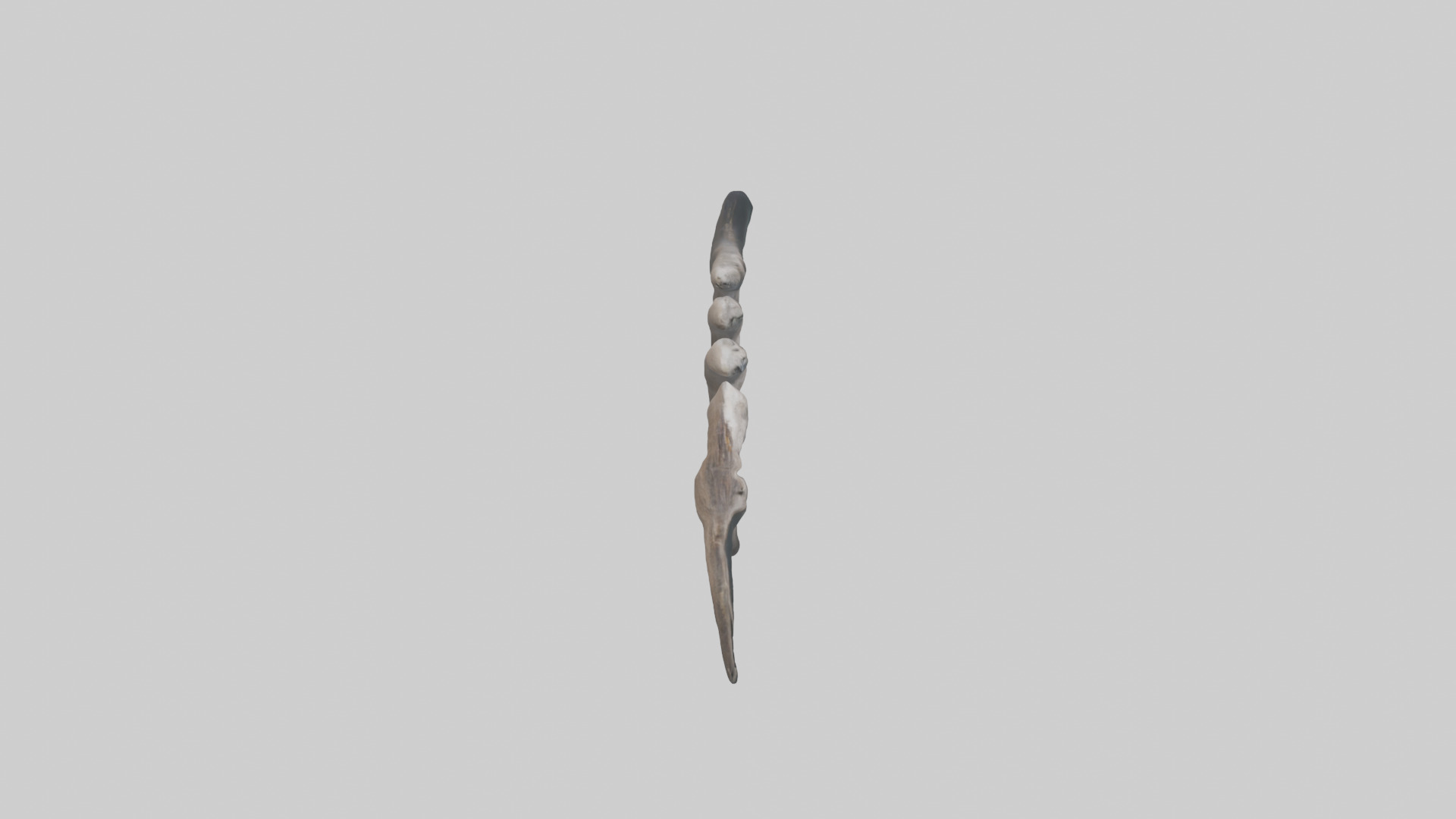 Otter Rib 3D model_18