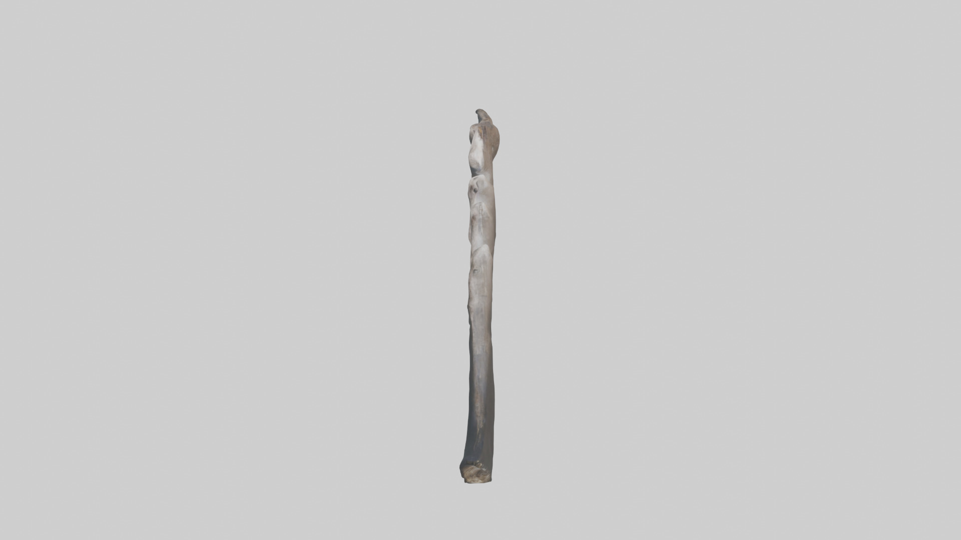 Otter Rib 3D model_17