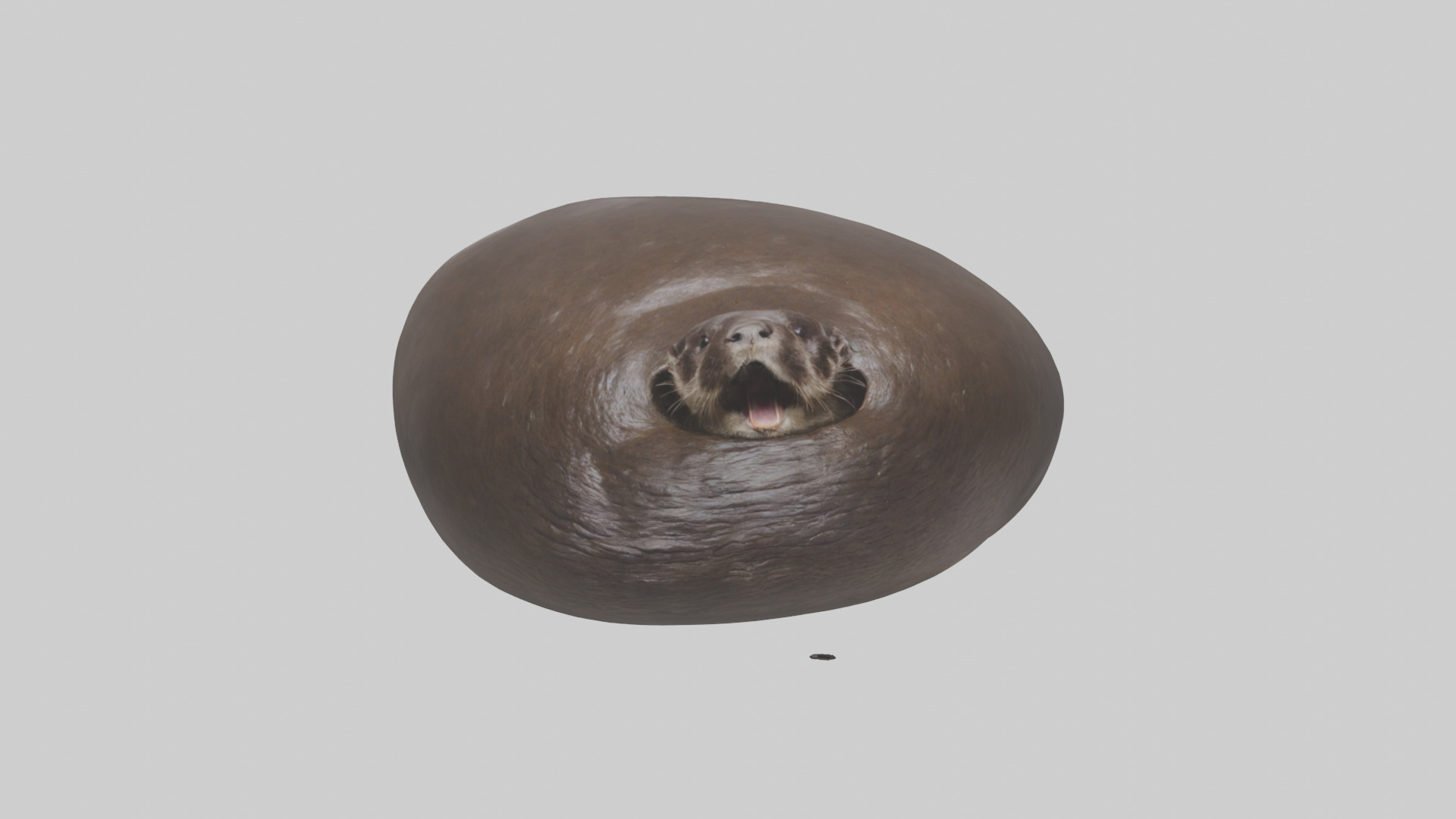 Otter Stomach 3D model_9