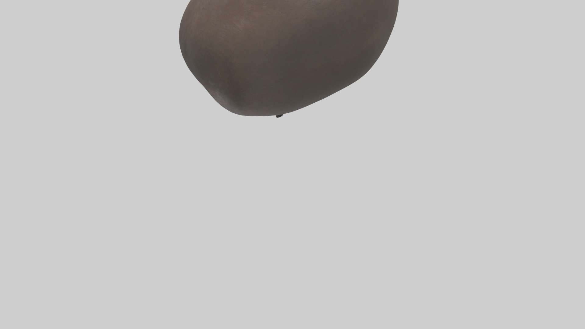Otter Stomach 3D model_3