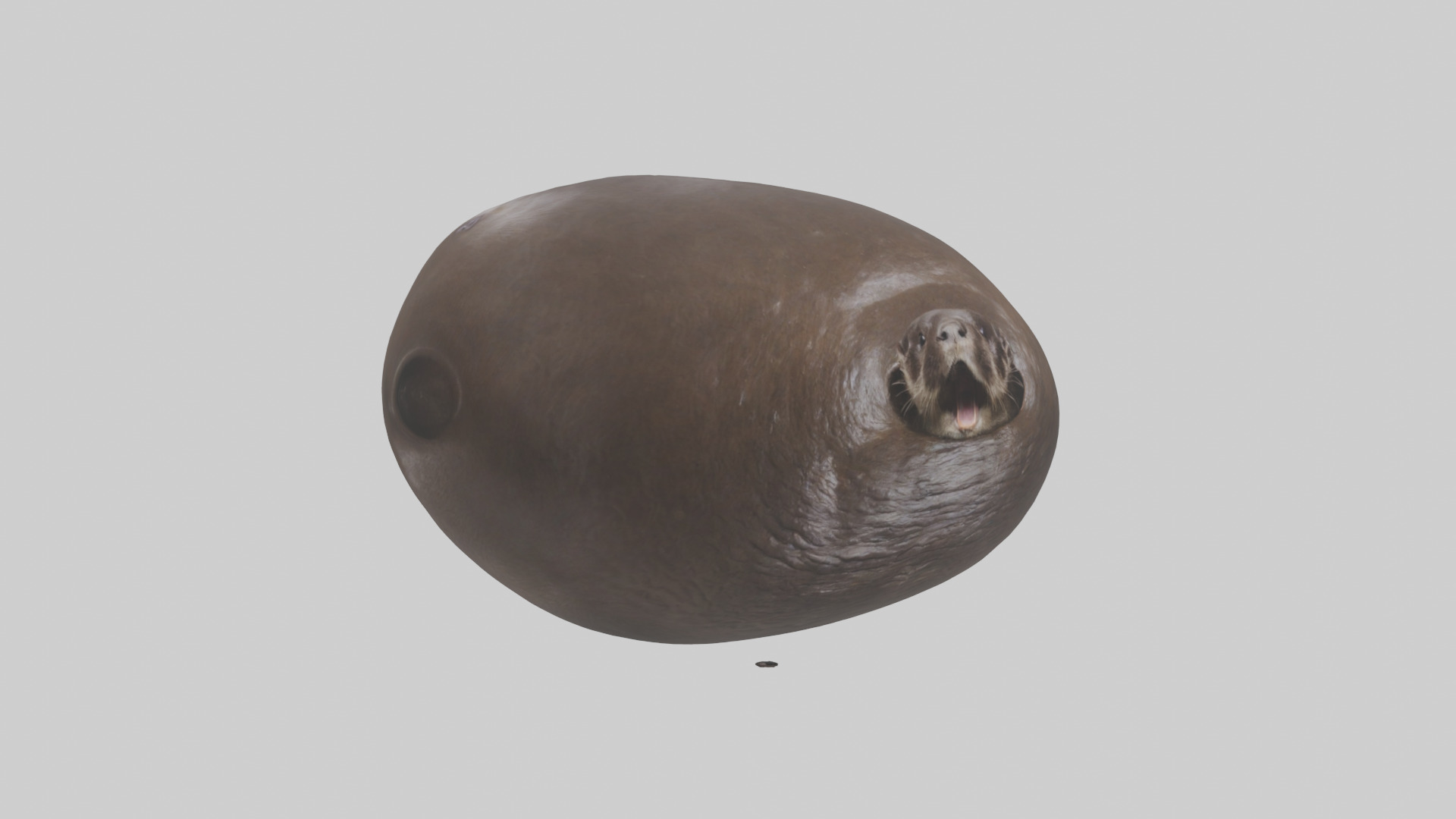 Otter Stomach 3D model_11