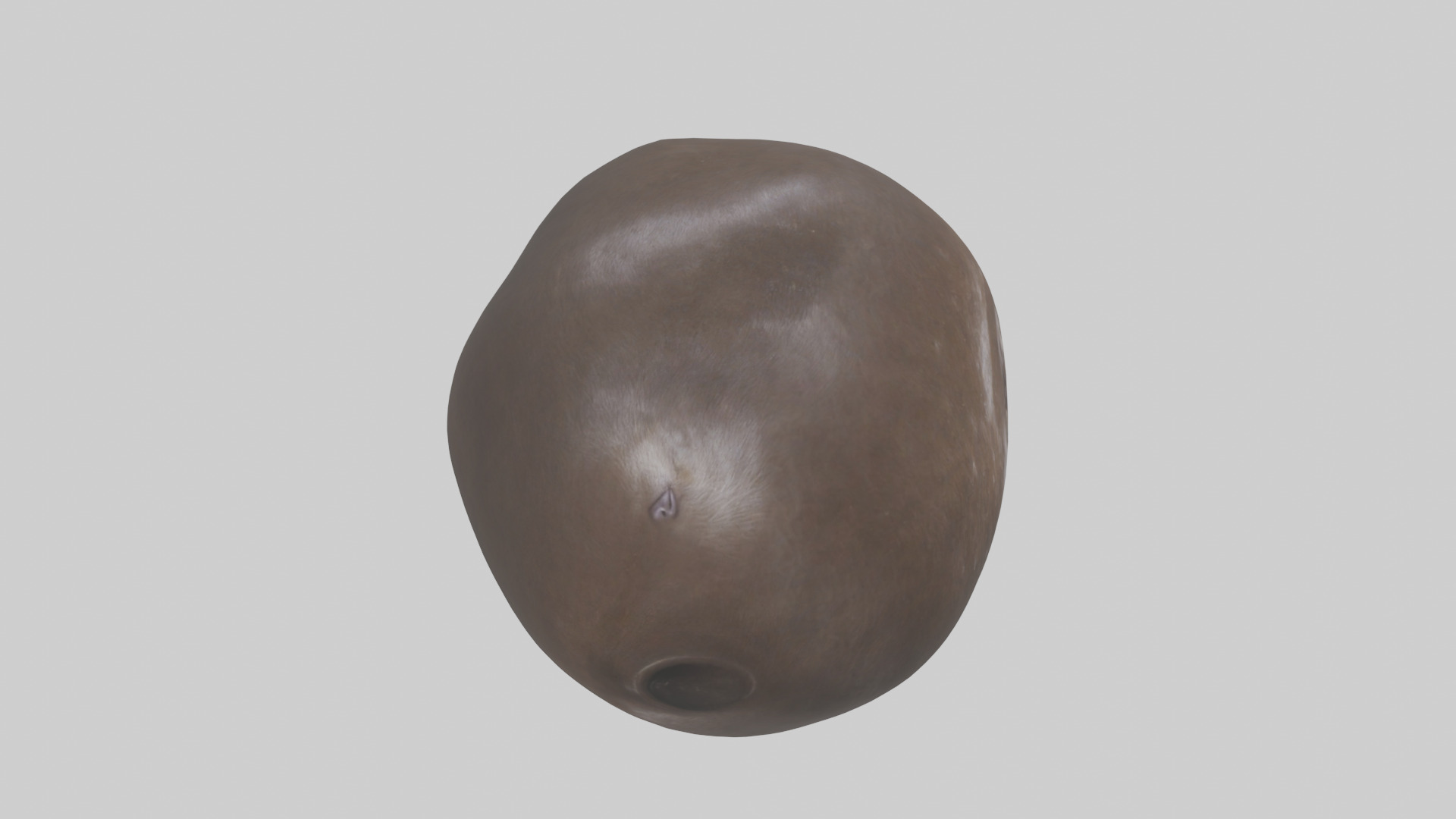 Otter Stomach 3D model_18