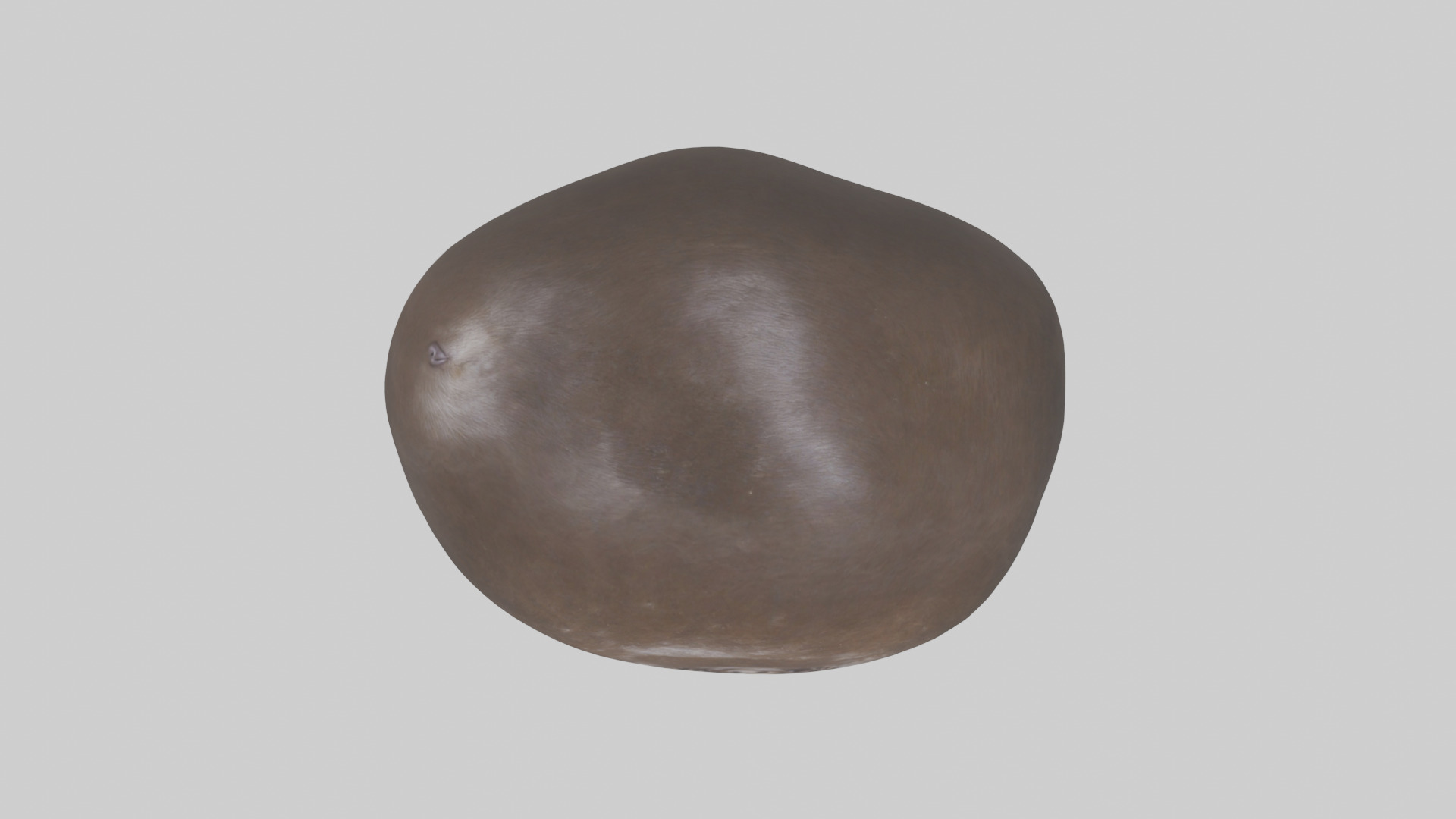 Otter Stomach 3D model_14