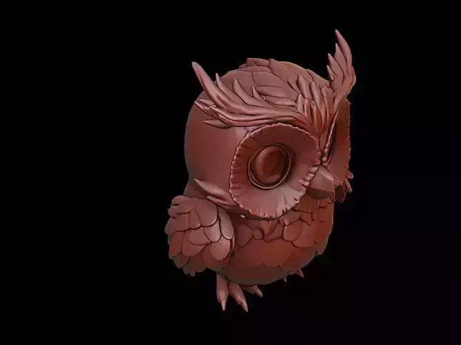 Owl Animal Cartoon