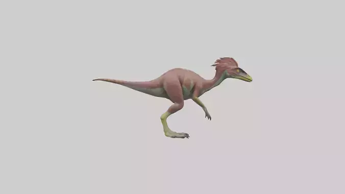 Oviraptor model