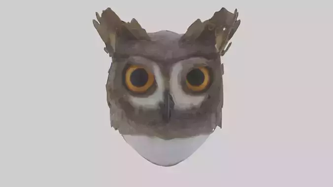 Owl Eyes