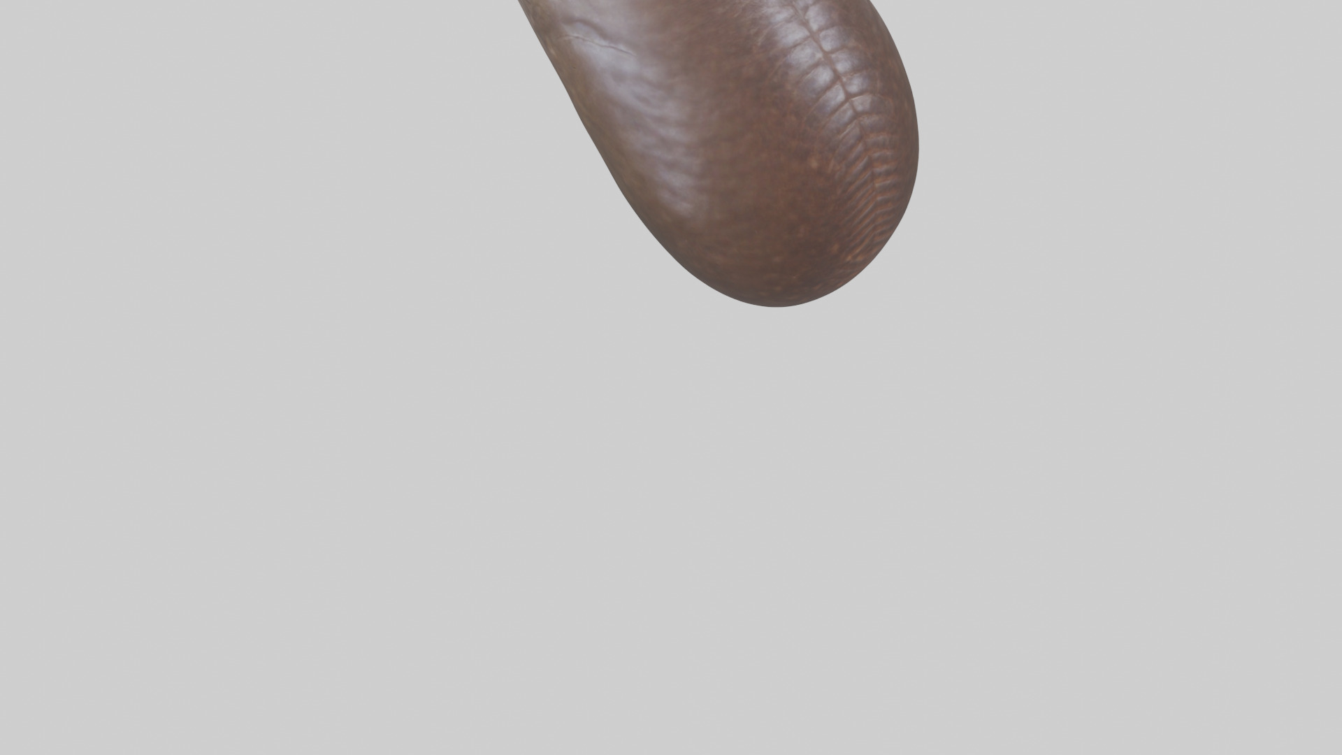 Owl Liver 3D model_3