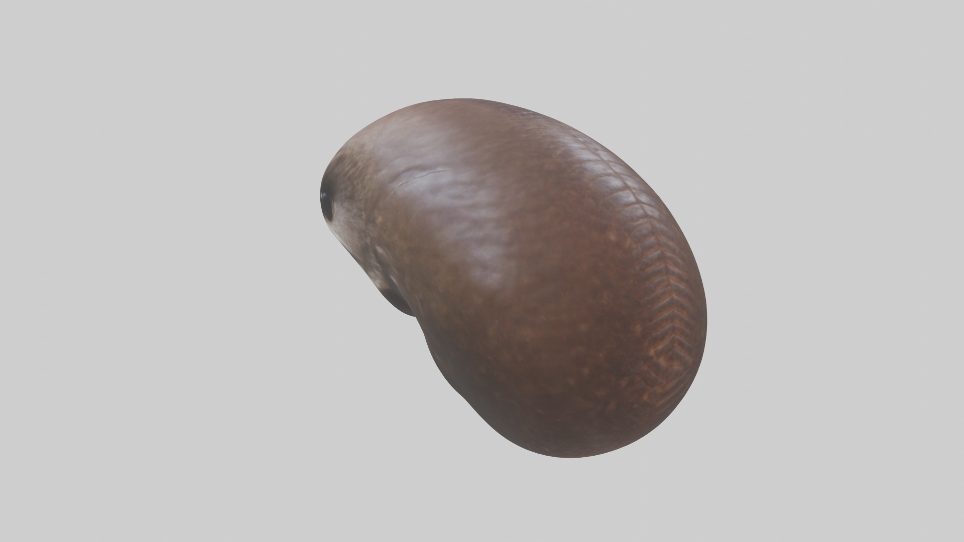 Owl Liver 3D model_1