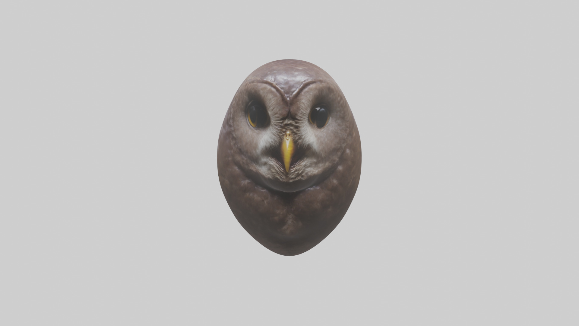 Owl Liver 3D model_9