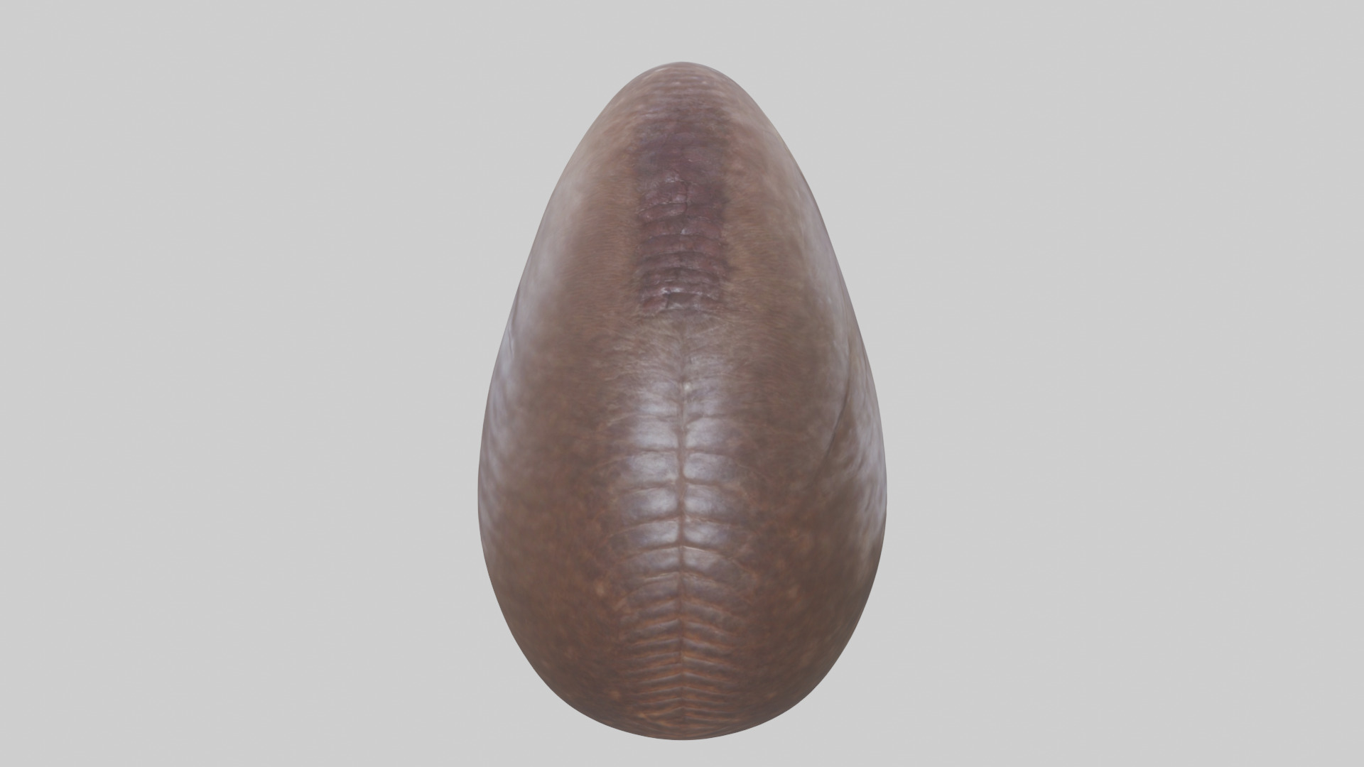Owl Liver 3D model_15