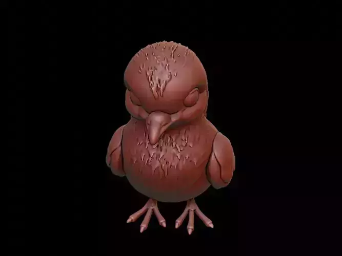 Pigeon Animal Cartoon