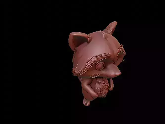 Raccoon Animal Cartoon