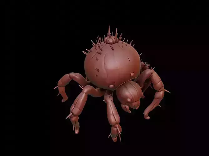 Spider Animal Cartoon